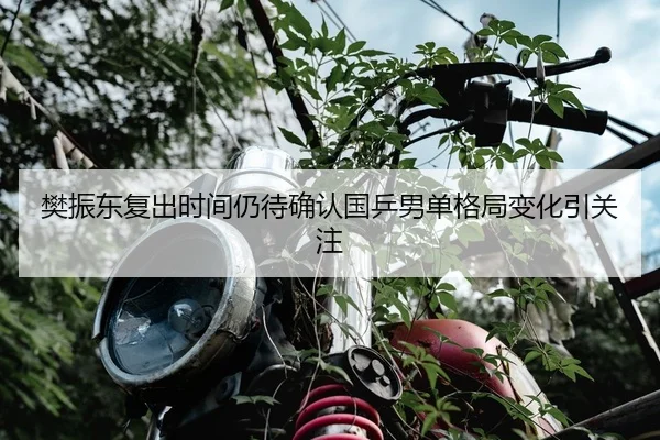 樊振东复出时间仍待确认国乒男单格局变化引关注